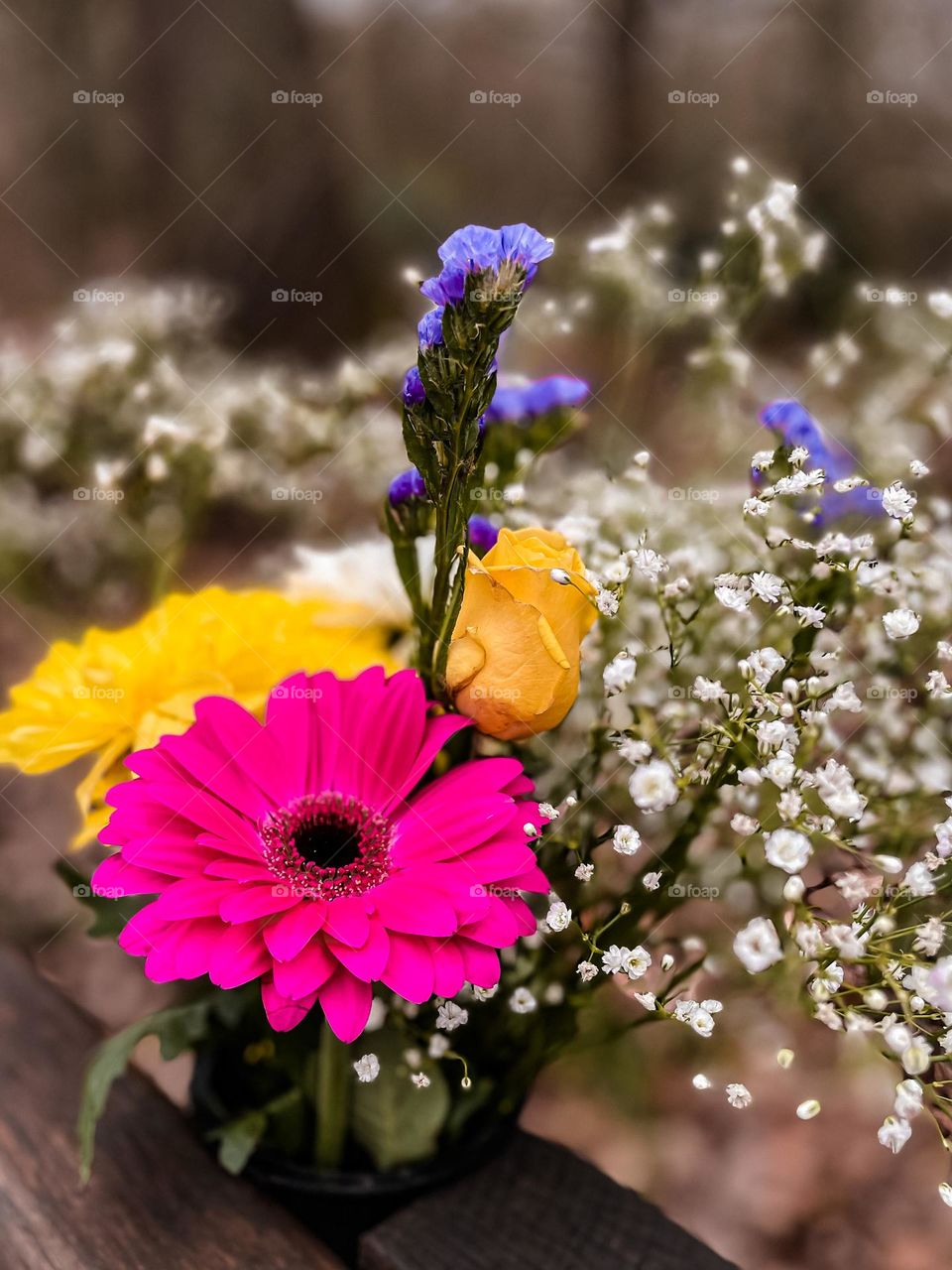 Beautiful spring time flowers. Yellow, pink, blue and white