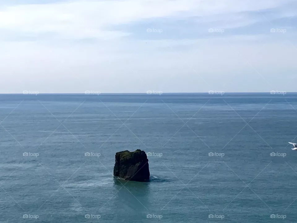 Vik