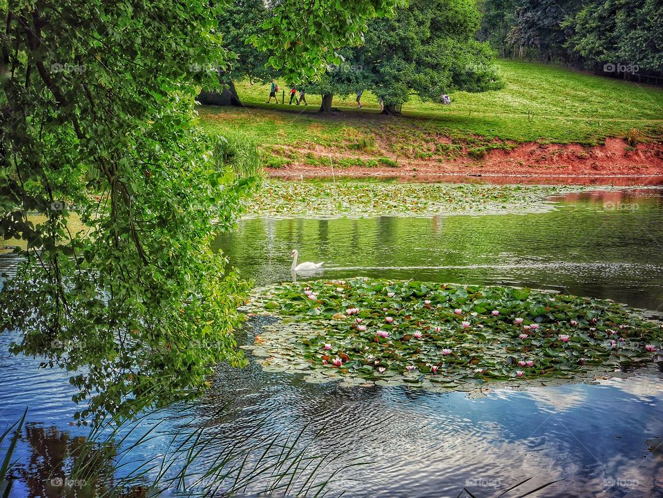 River. Countryside 