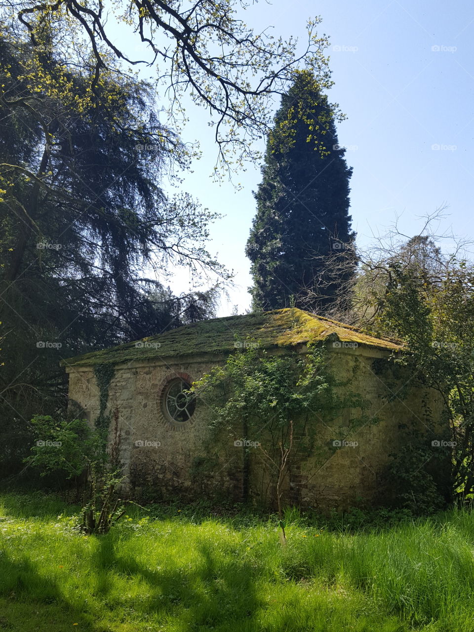 old building in woods