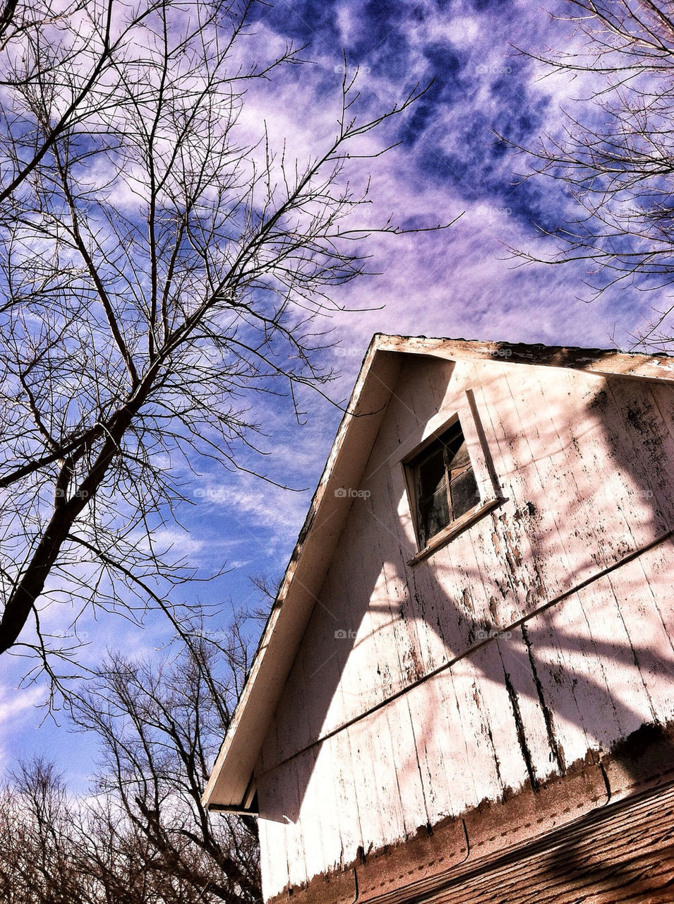 winter sky wood clouds by creative_bacon