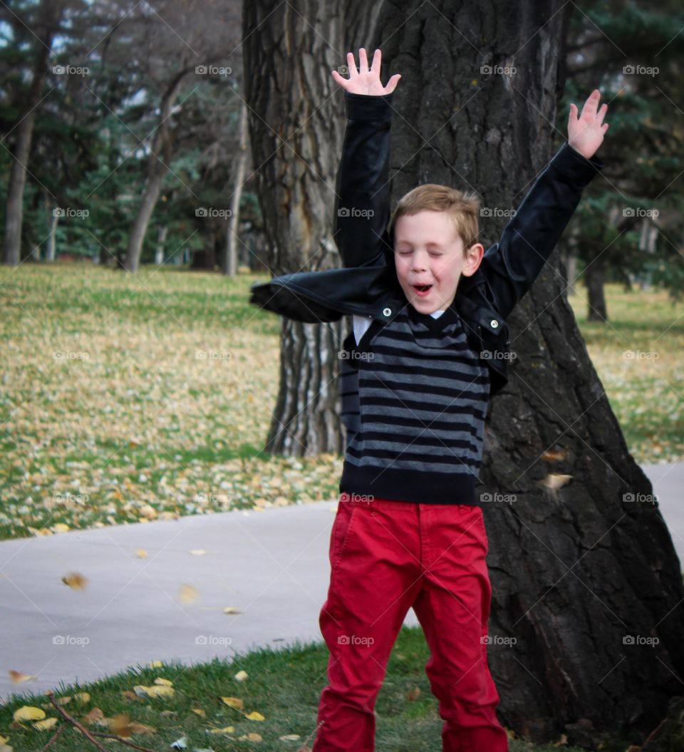 Feel the wind blowing the leaves through the air! 