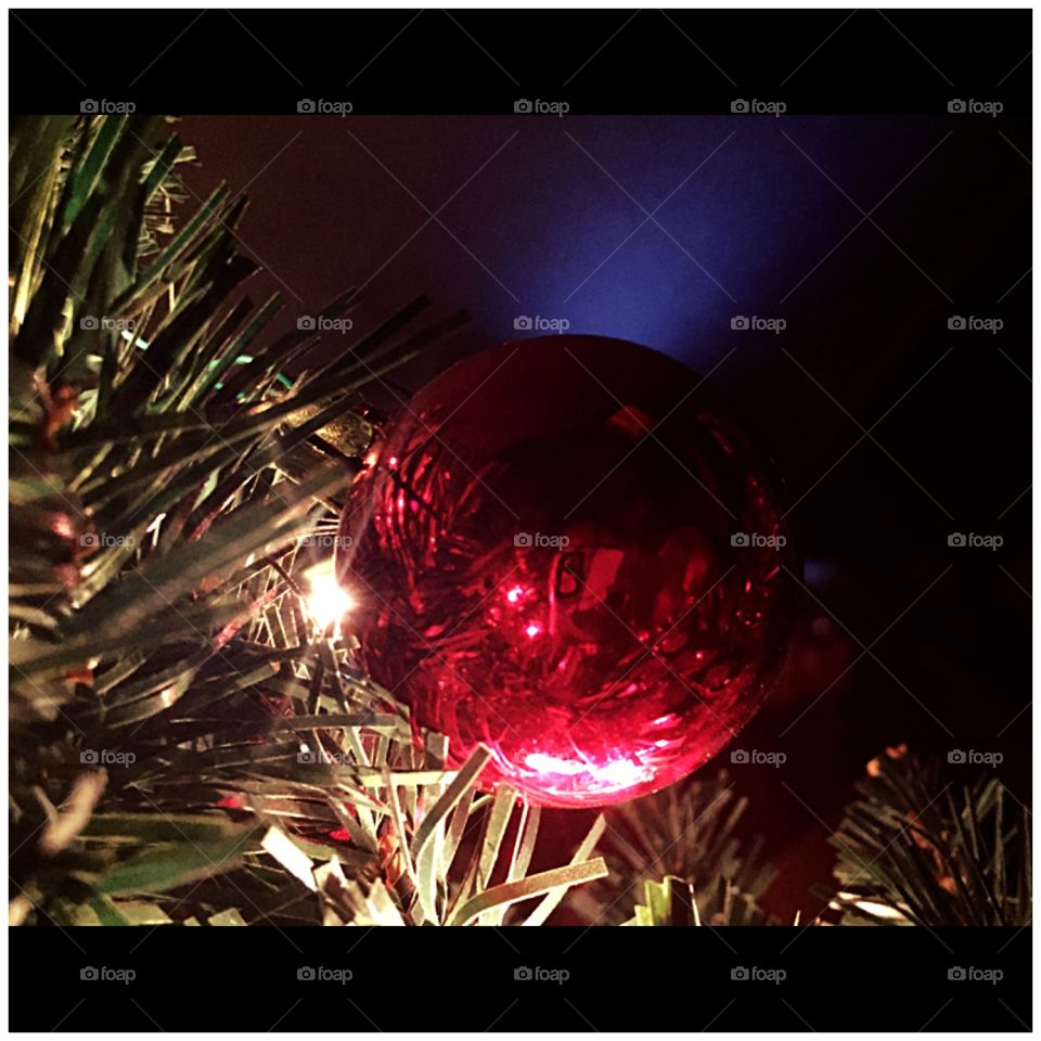 Oh Christmas Tree, Oh Christmas Tree🎶