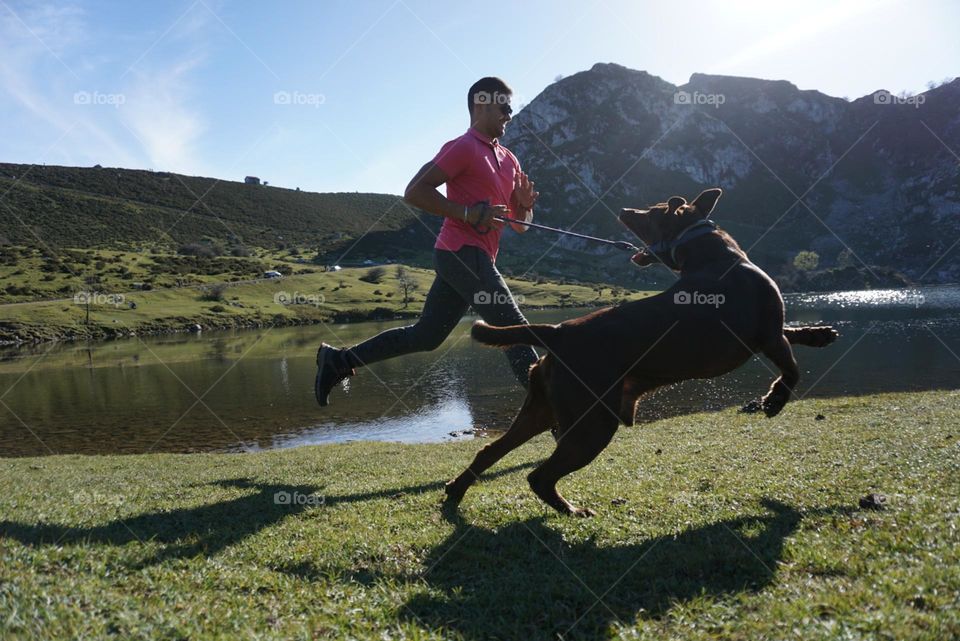 Dog#human#run#nature