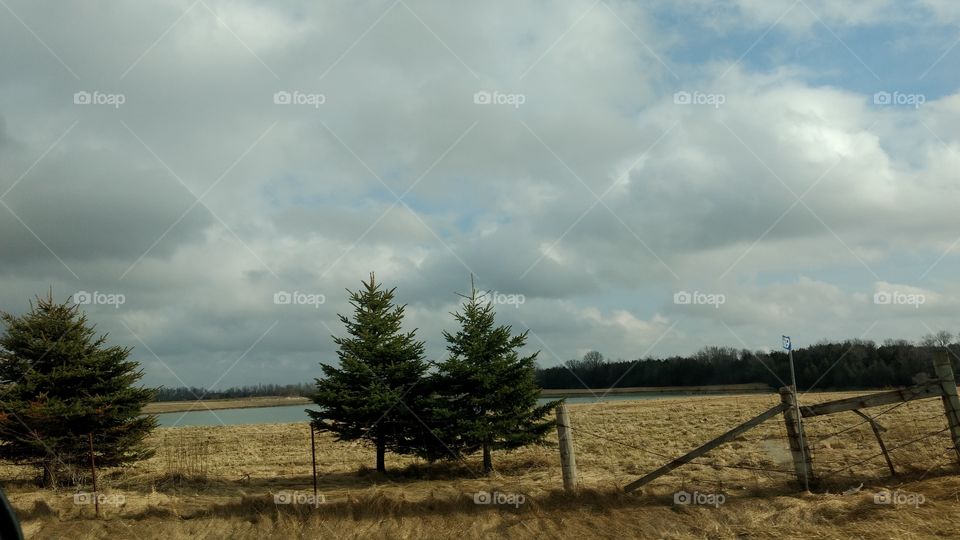 Landscape, No Person, Tree, Sky, Nature