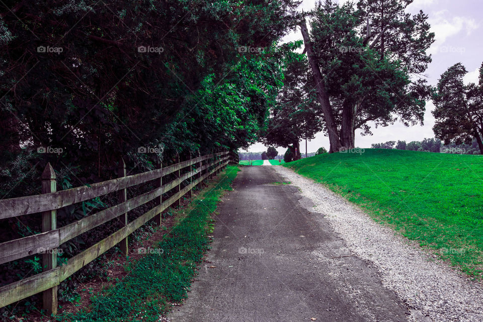 The road . Visiting this historic plantation in West Virginia 