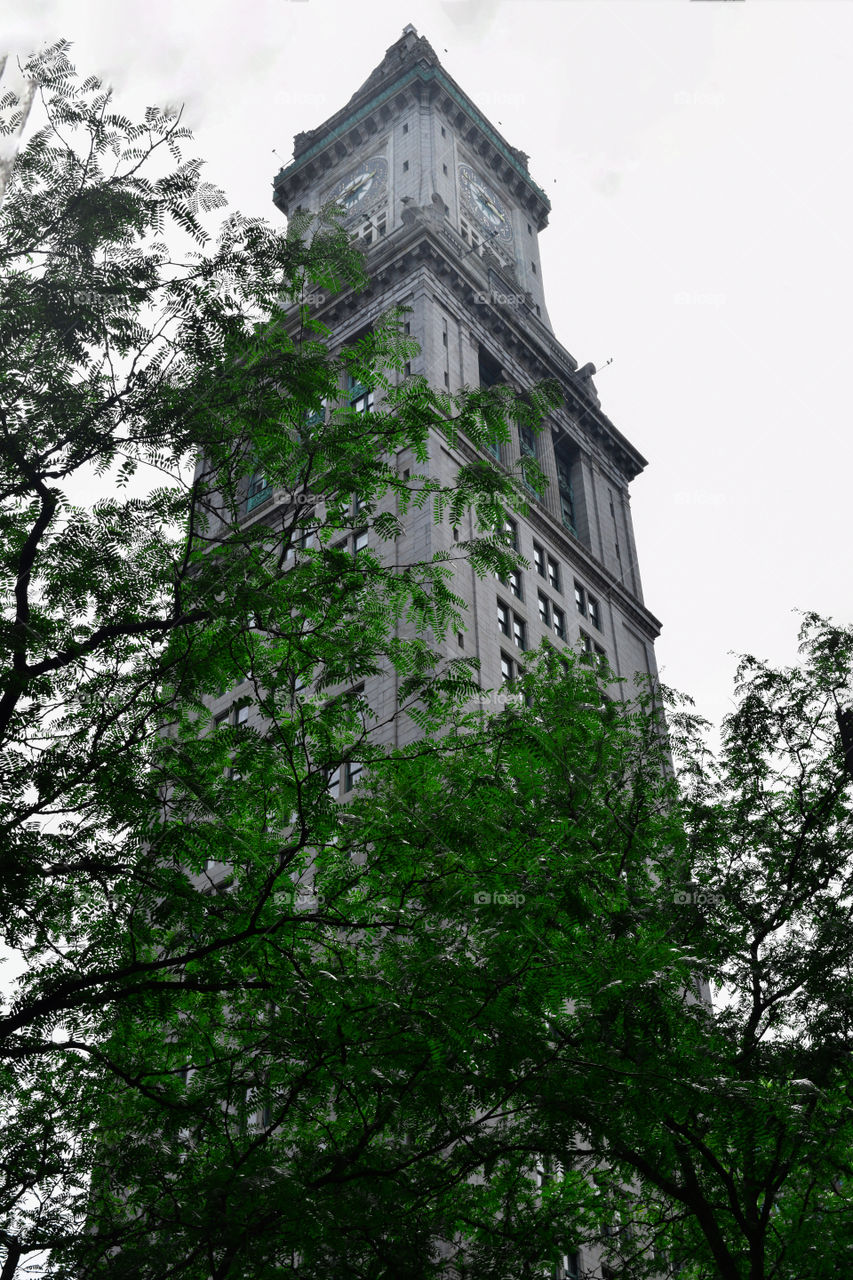 Tall Building in Cambridge, MA
