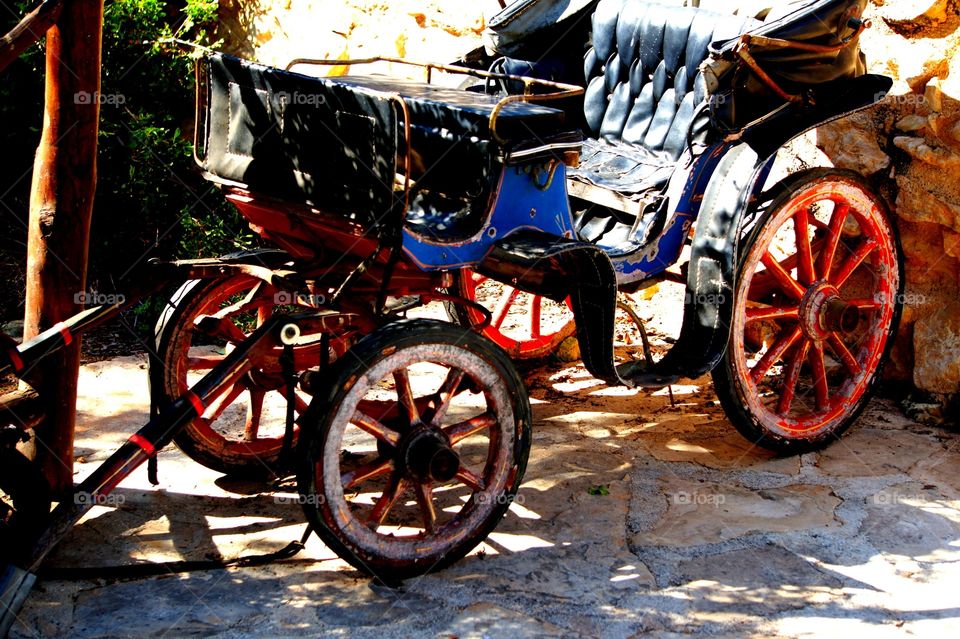 Paint your wagon. Taken at Paphos zoo Cyprus 