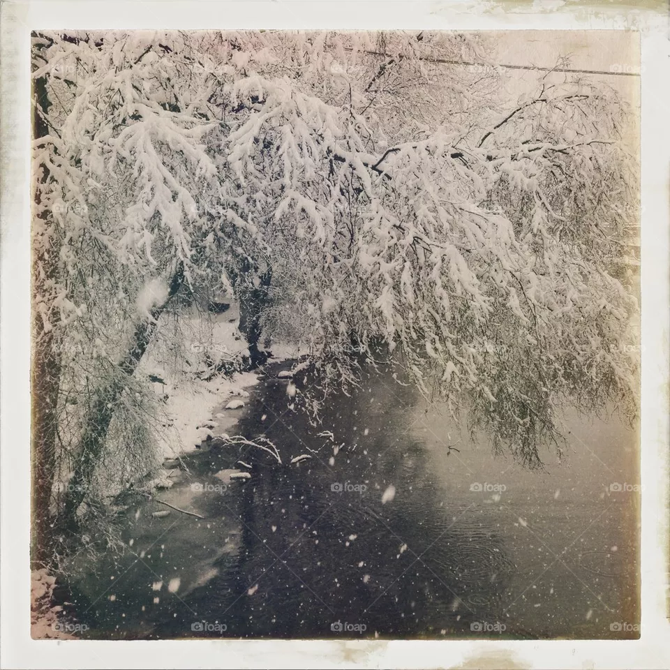 Snow