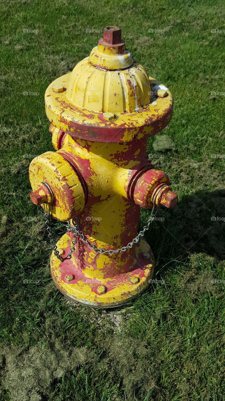 fire hydrant