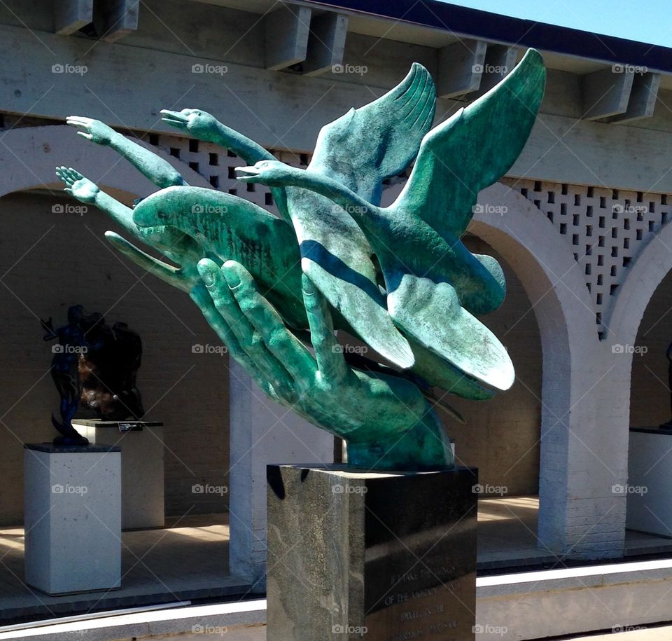 Letting go and soaring