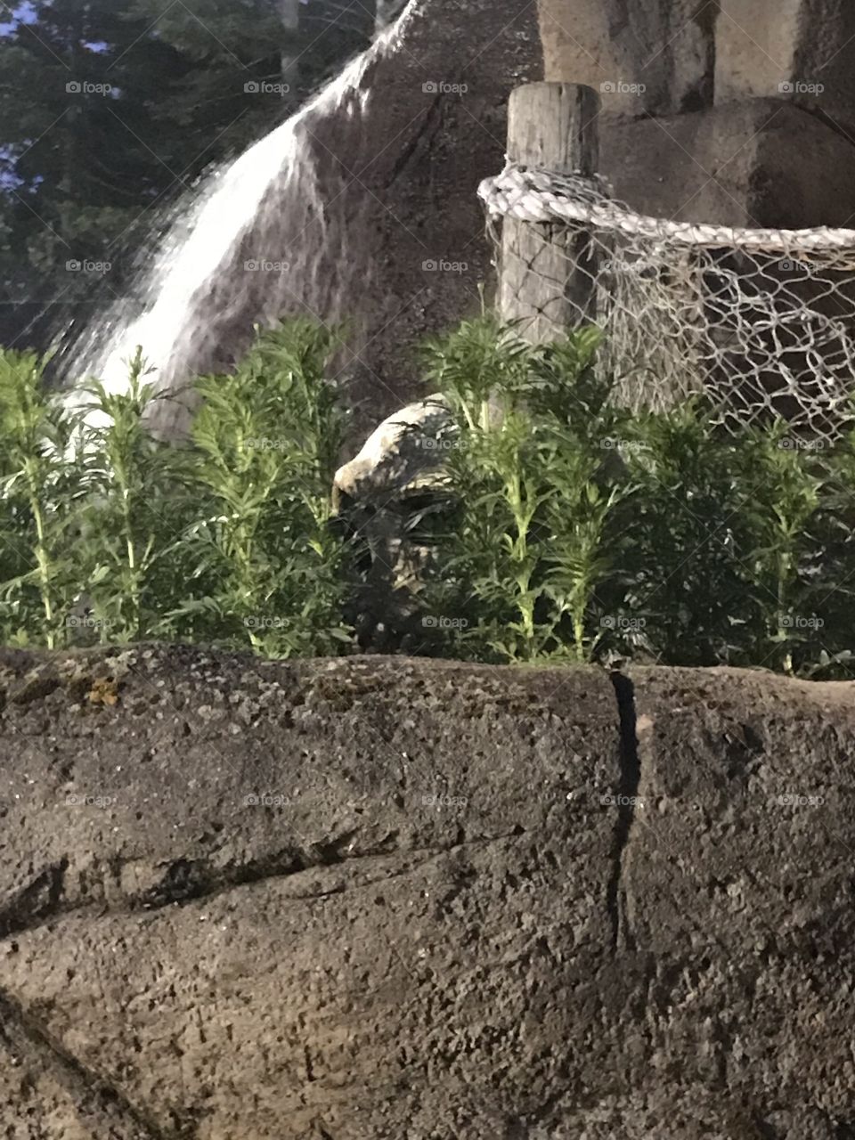 Pirates Cove in Bar Harbor, Maine