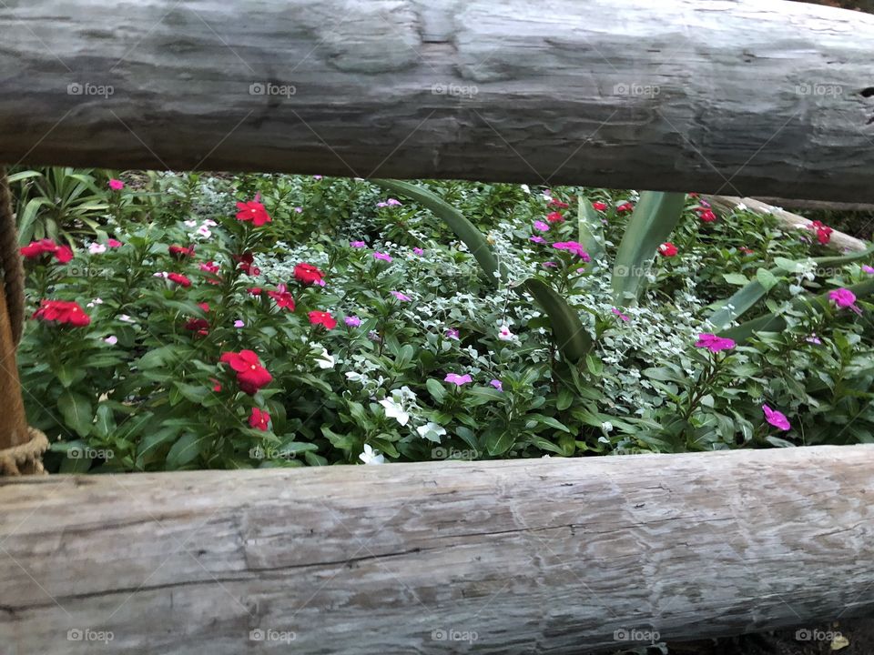 Lovely fenced flower bed at the zoo