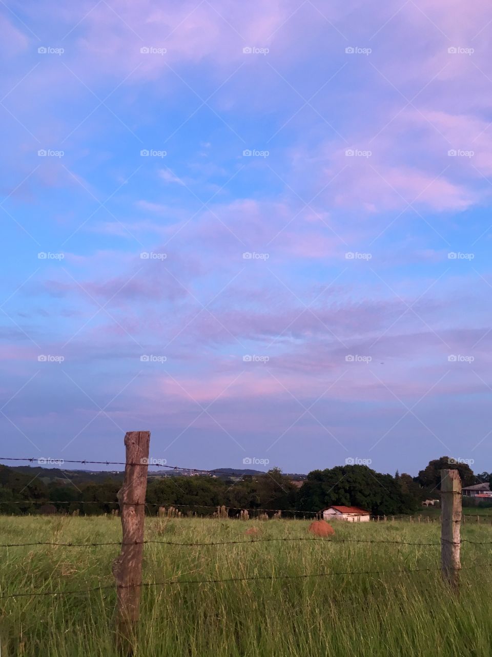 🗾Um #céu azul-róseo totalmente inspirador!
Como não contemplar as cores desta Sexta-Feira, anunciando uma ótima oportunidade para viver?
🙌🏻
#natureza #paisagem #fotografia #mobgrafia #inspirador #sky #landscapes