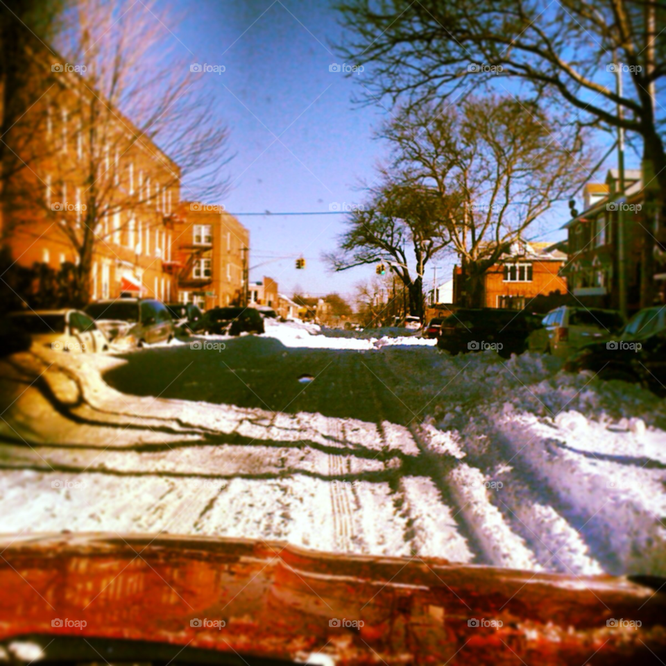 snow sky sunny trees by michaella