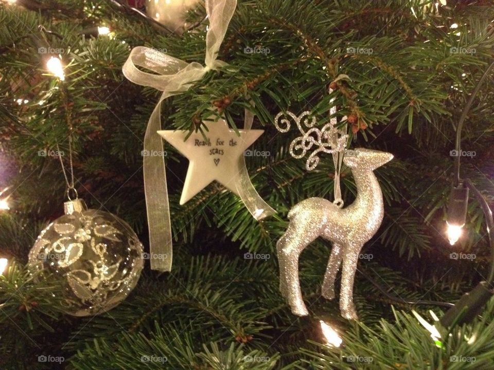 Silver Reindeer