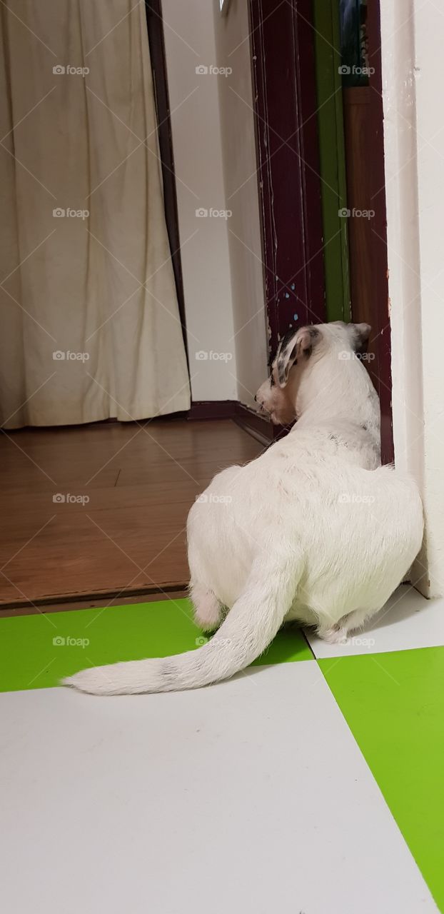 Waiting for the master