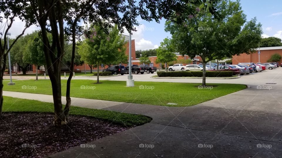 The parking lot of my community college in Pasadena Texas.