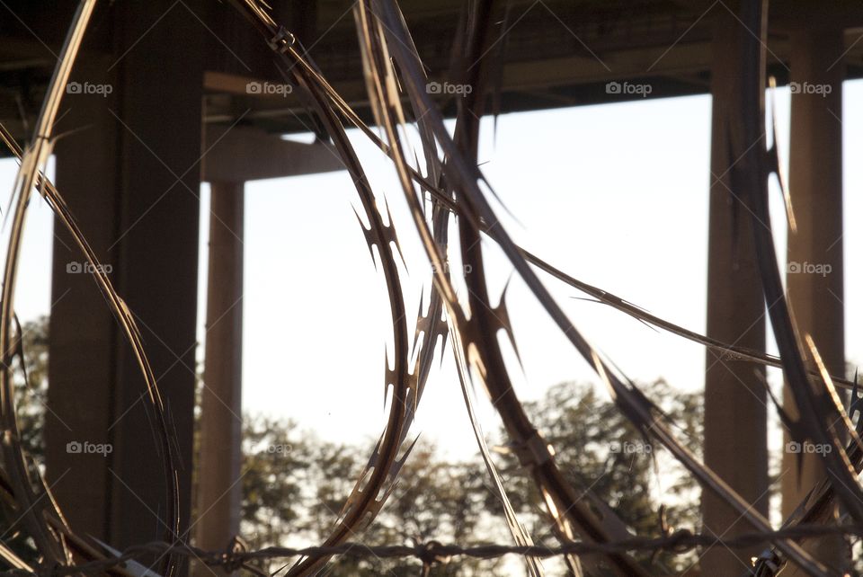 Up close and personal with some barb wire.