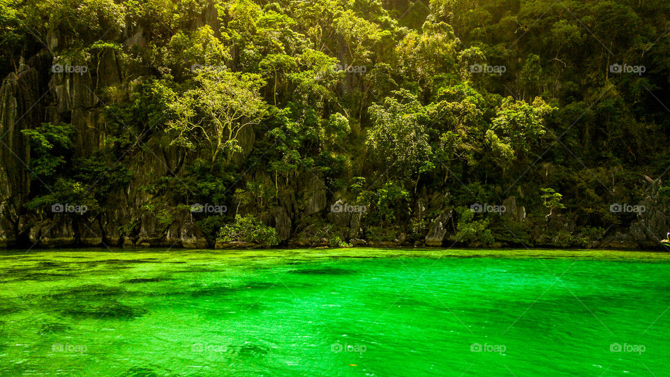 coron green lagoon