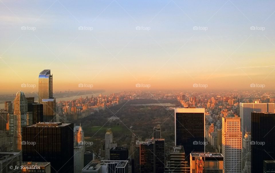 New York central park 