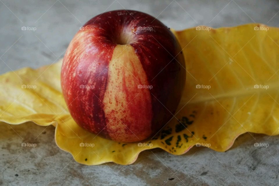 Red apple on dry leaf