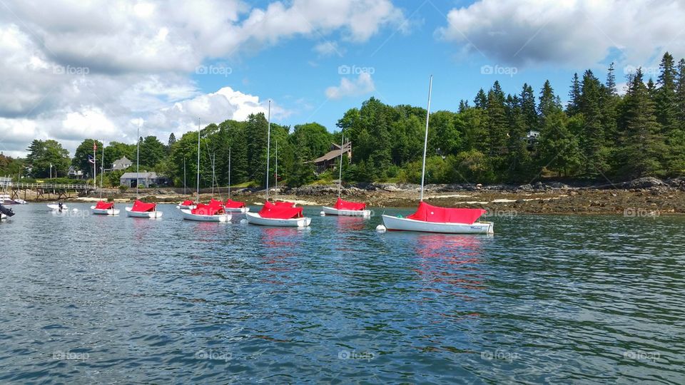 Cape Cod Mercury Fleet
