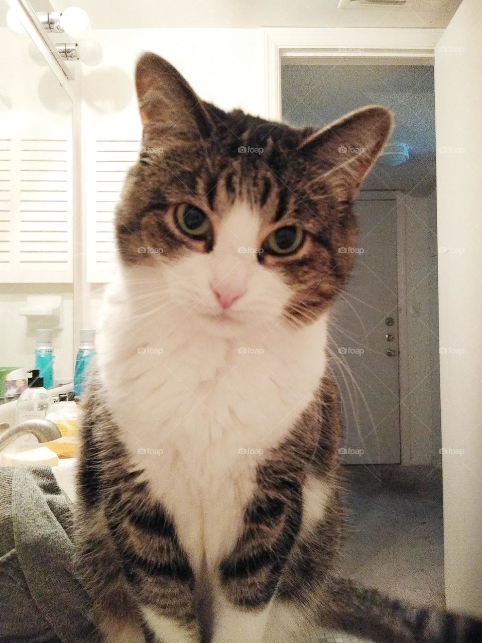 My tabby cat Lilly is my shadow. She follows me wherever I go. Here she is looking at me while I use the restroom.