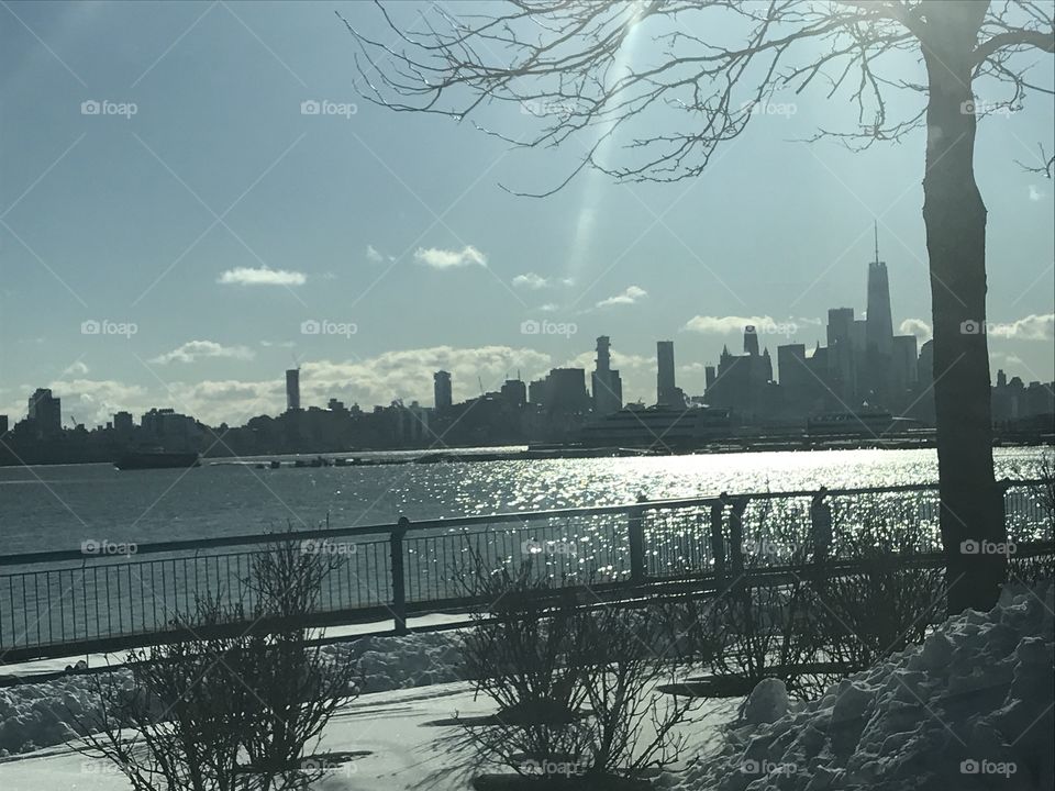 Water, Tree, No Person, City, Dawn