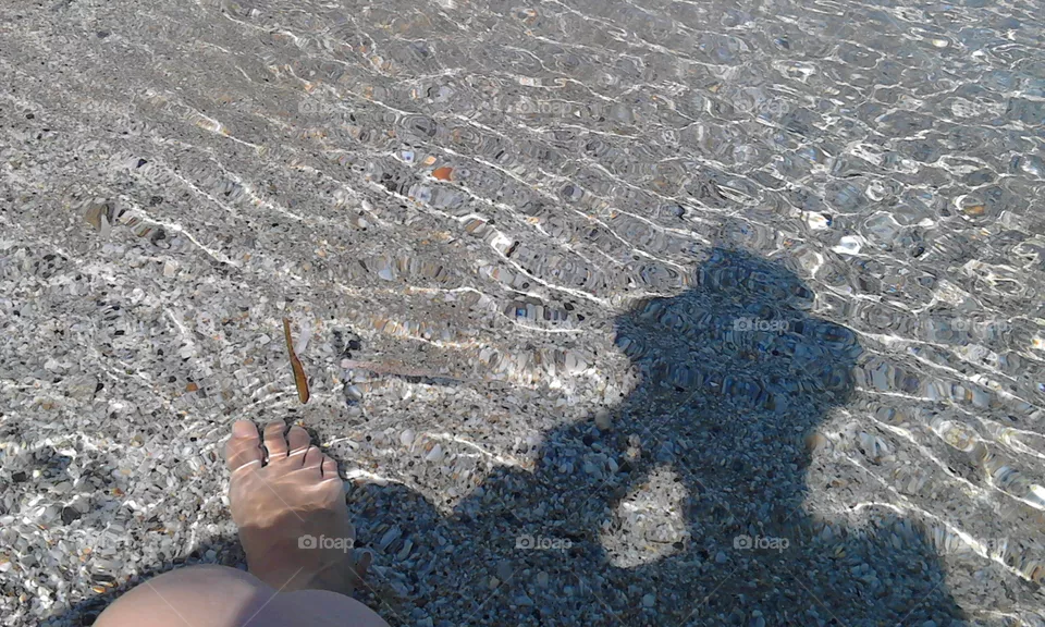 shadow
