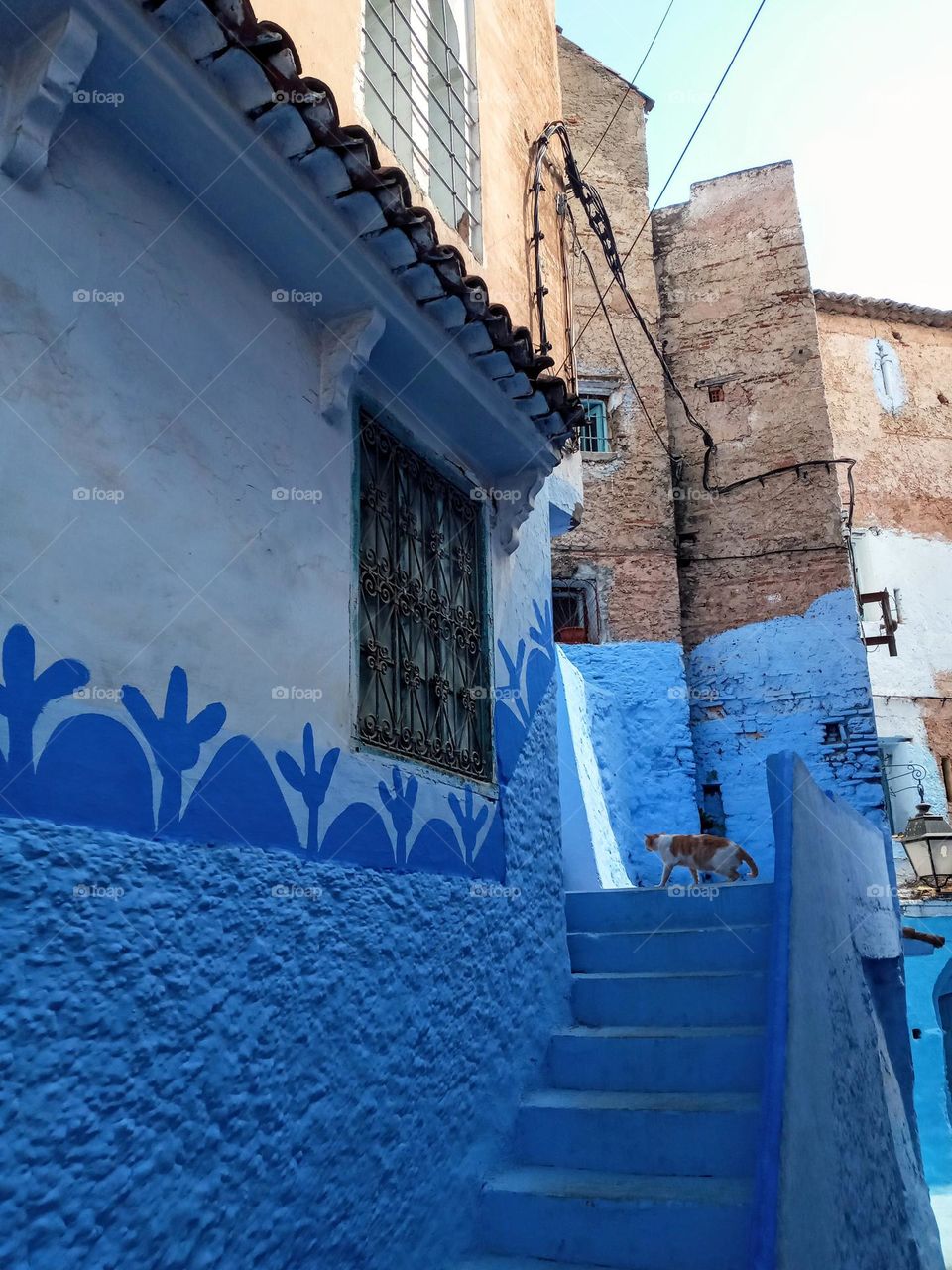 Ancien medina in chefchaouen city of morocco
