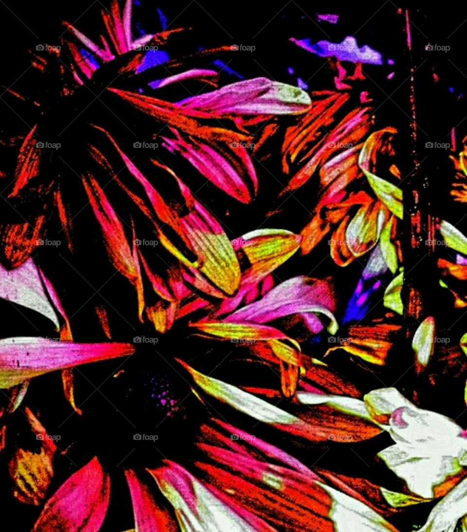 candy shop. lighting effects