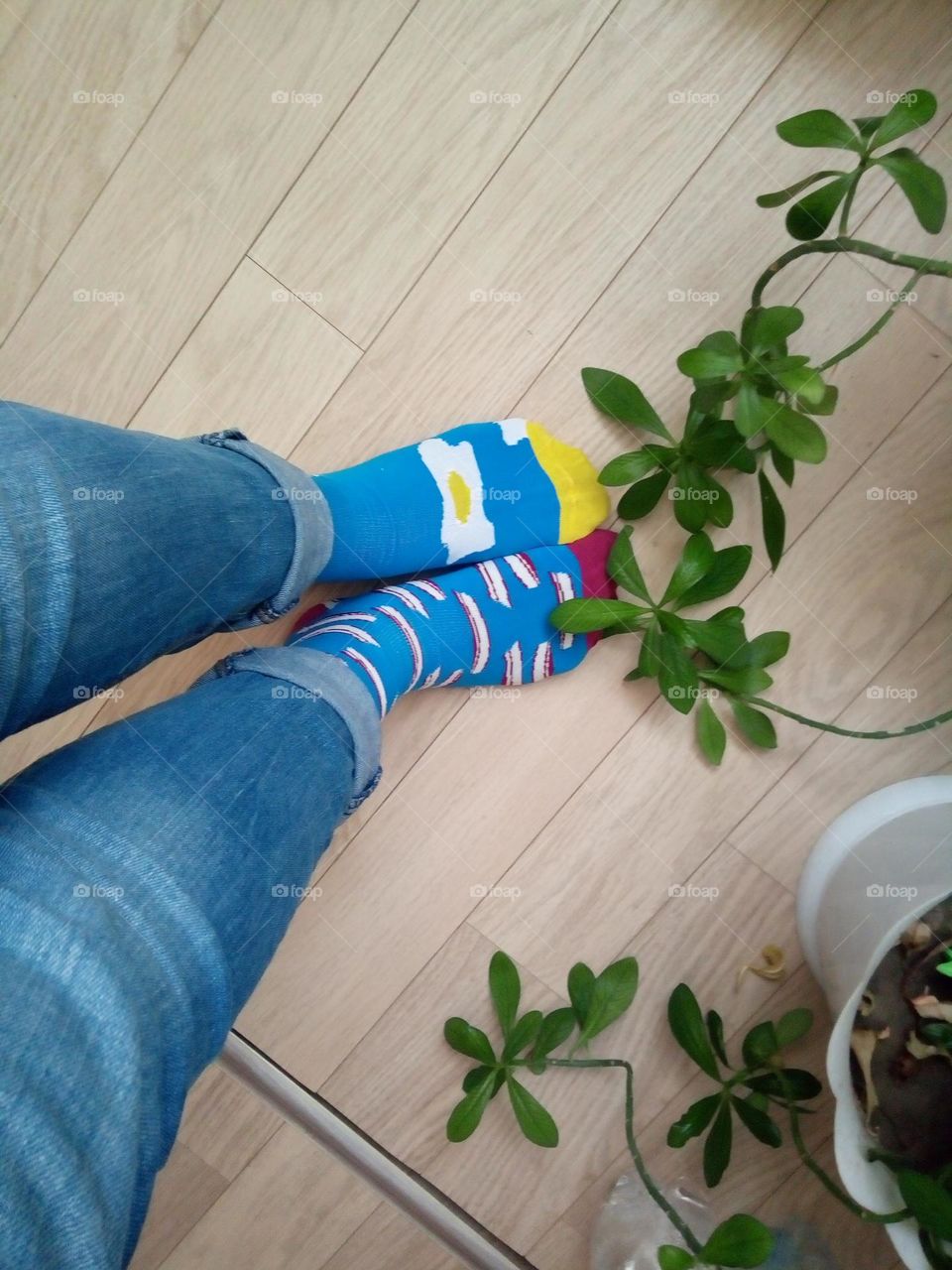 Various food themed socks