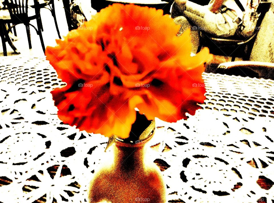 Аленький цветочек