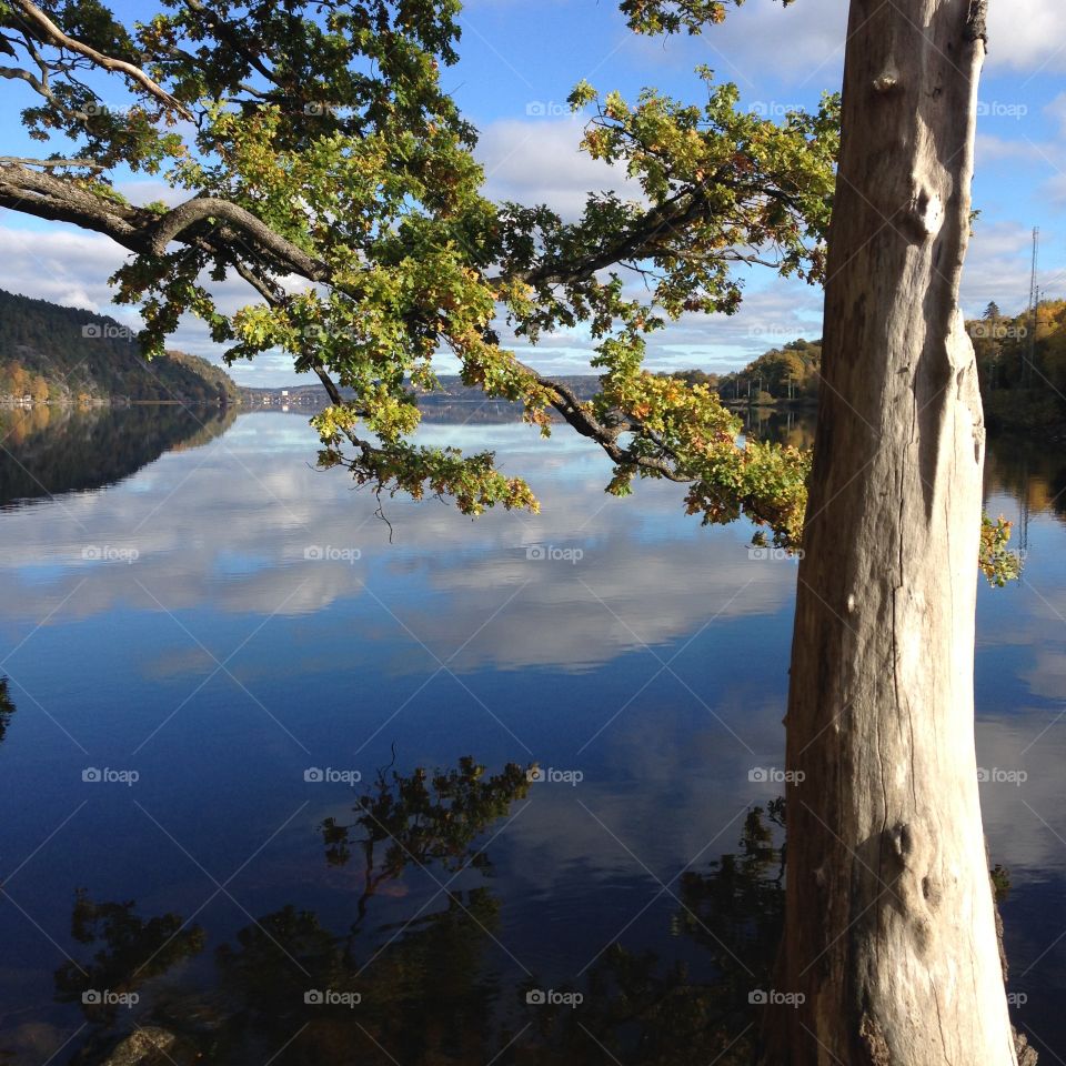 Cloud reflecting on lake