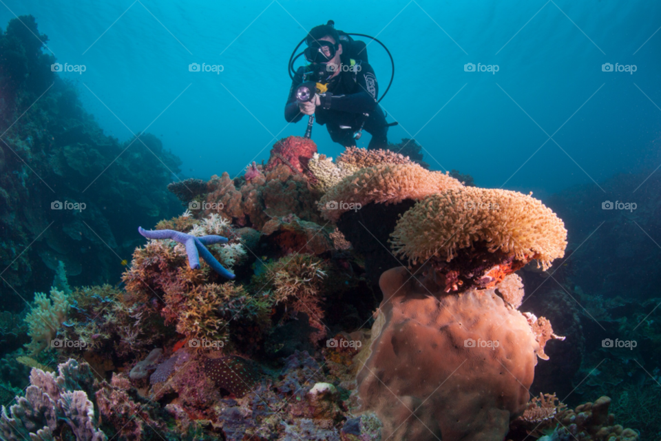 healthy environment philippines diving by paulcowell