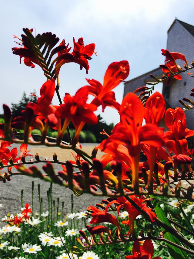 Beautiful Nature 