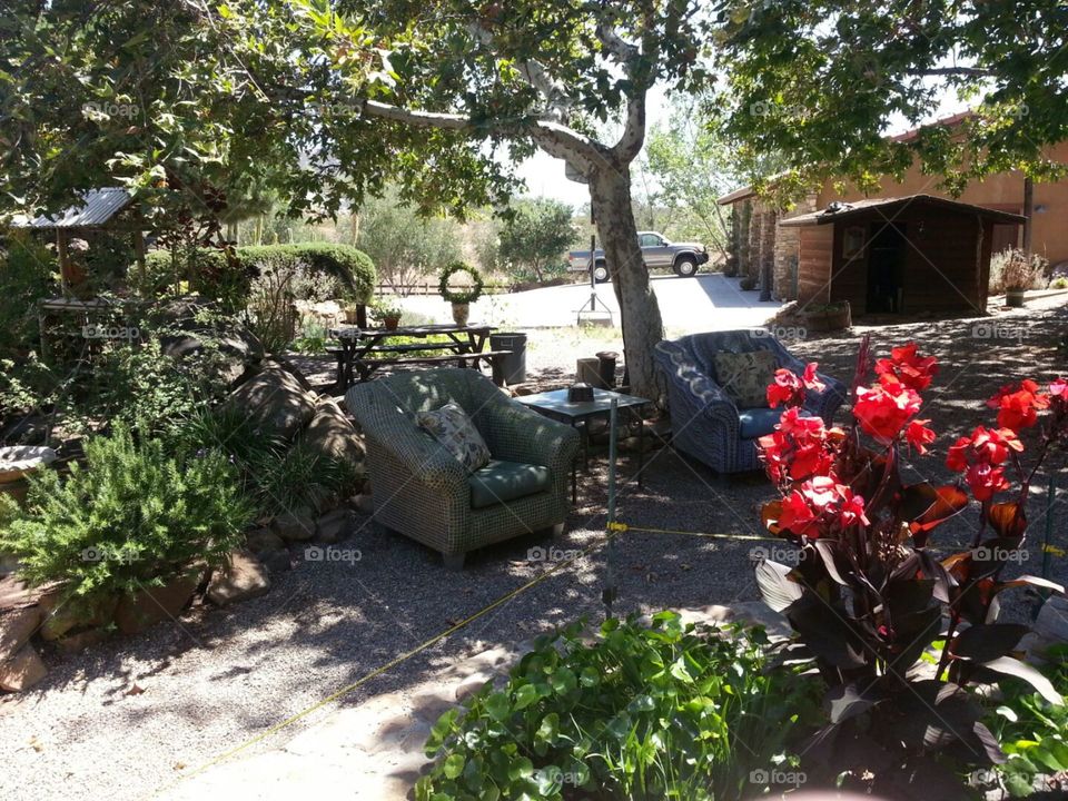 backyard, chairs, relax,