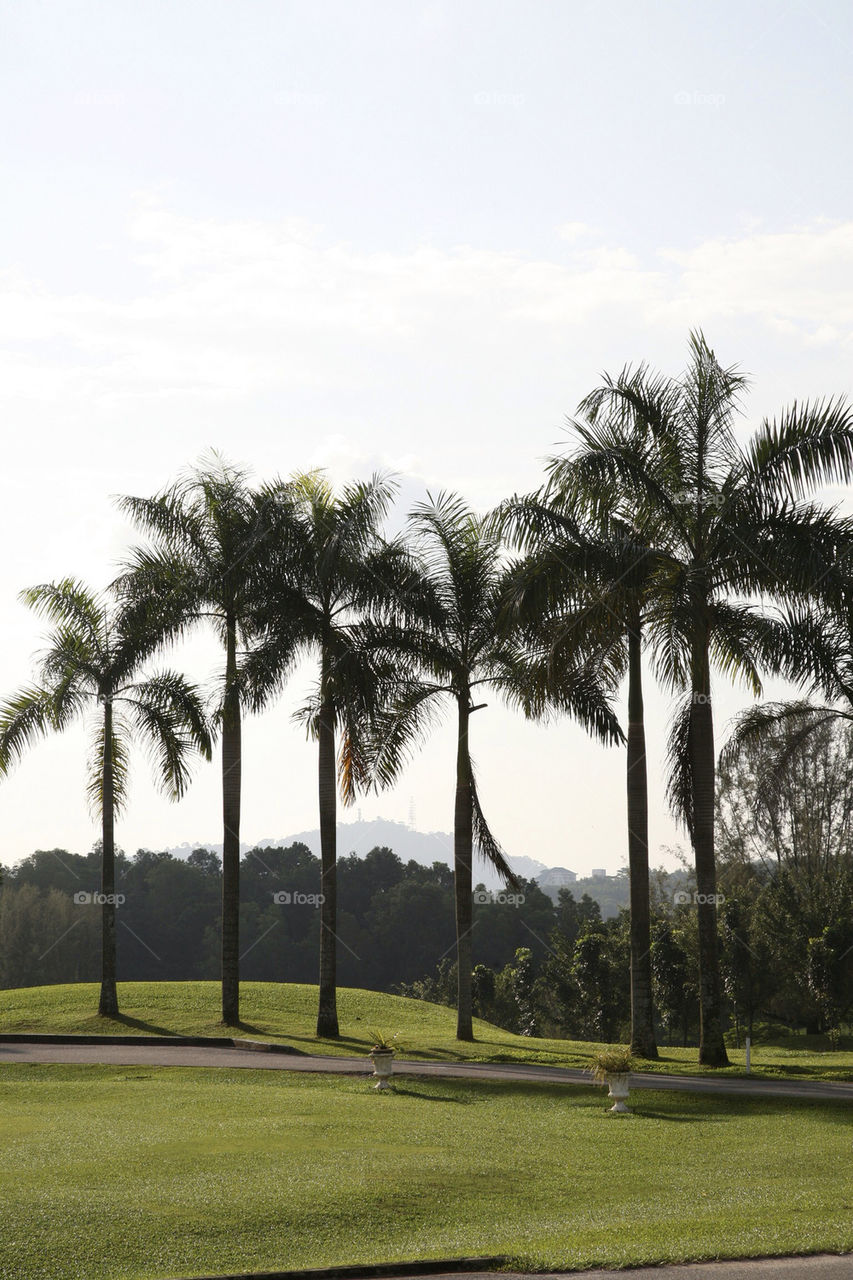 landscape sky green nature by king