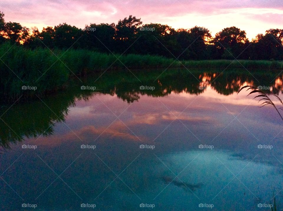 Beautiful pink reflection 