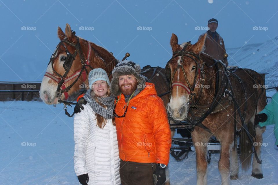 Winter Sleigh Ride