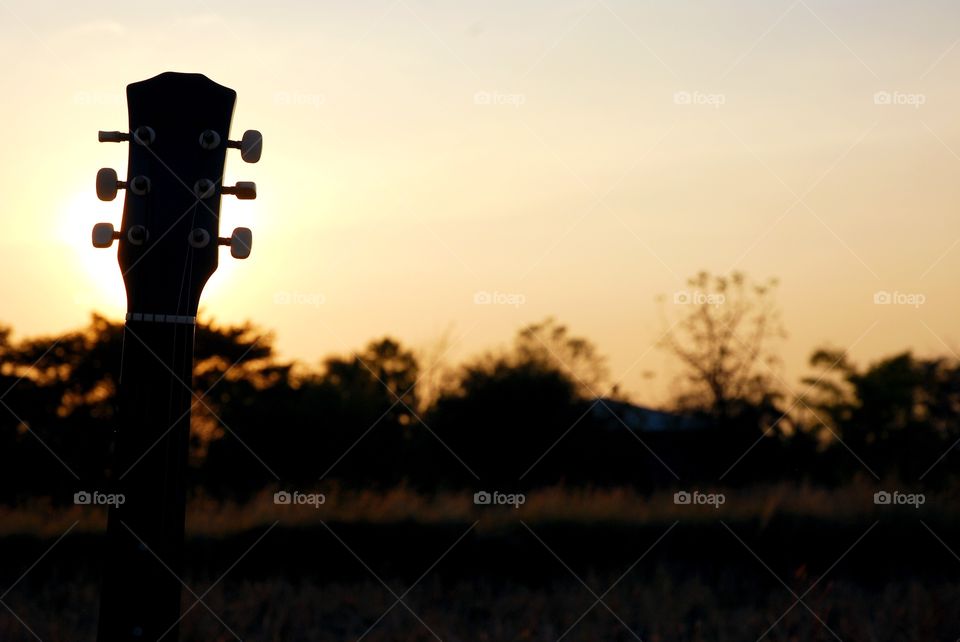 Guitar on sunlight background.