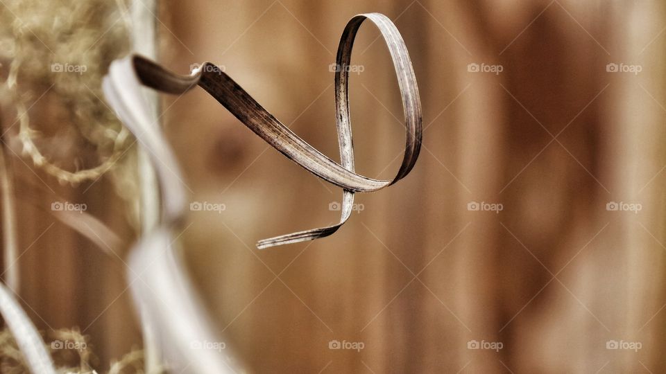 Close-up of wood shaving