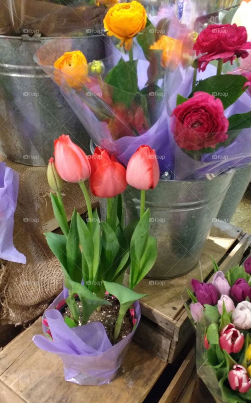 Flowers in Floral Shop