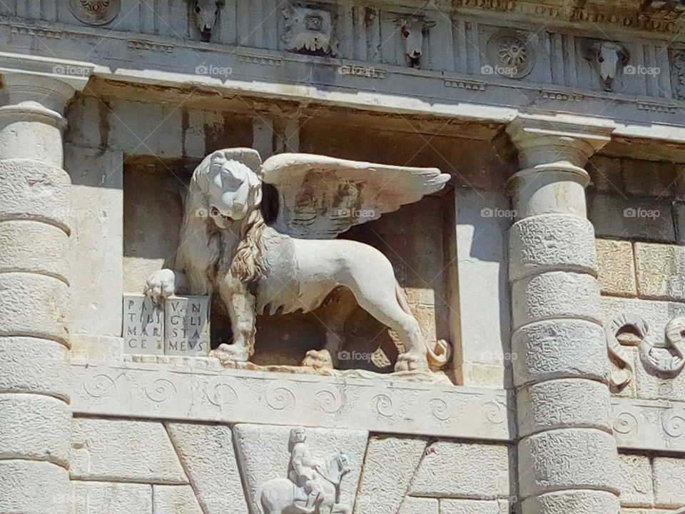 Marcus-lion of Zadar