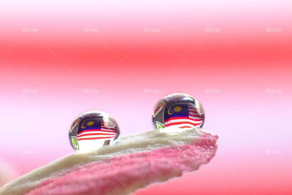 Beautiful water droplet reflection of the Malaysian flag.