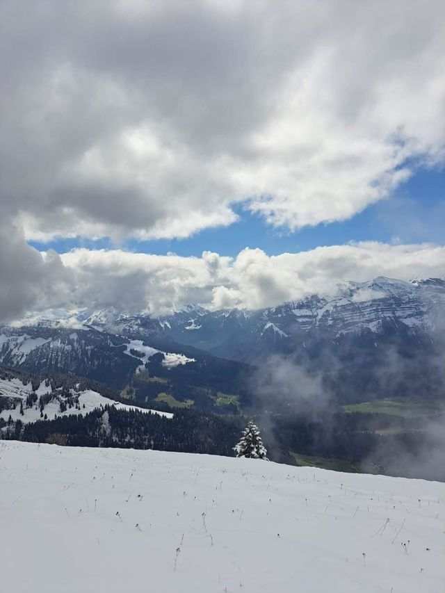 Snow