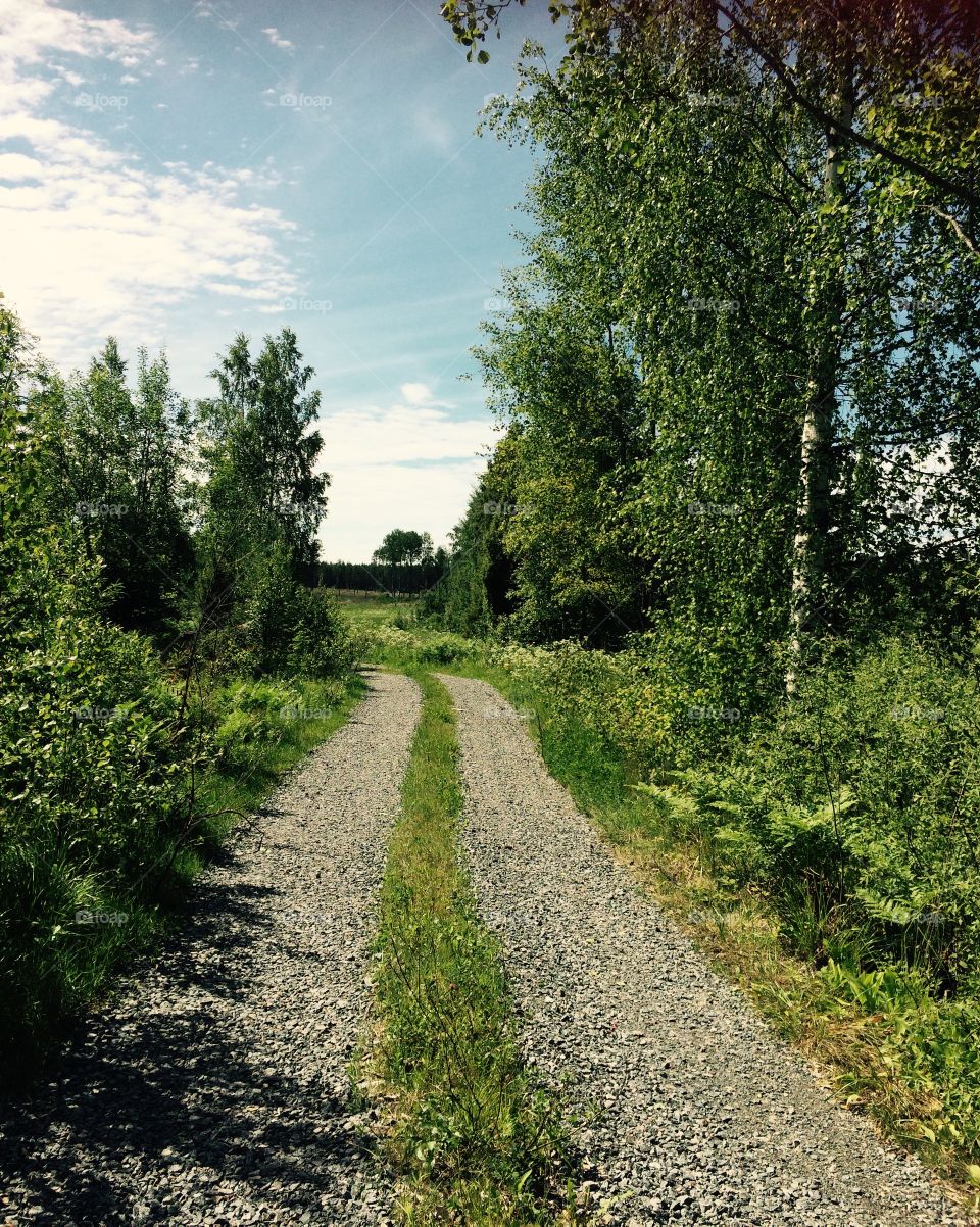 A summerday in Sweden