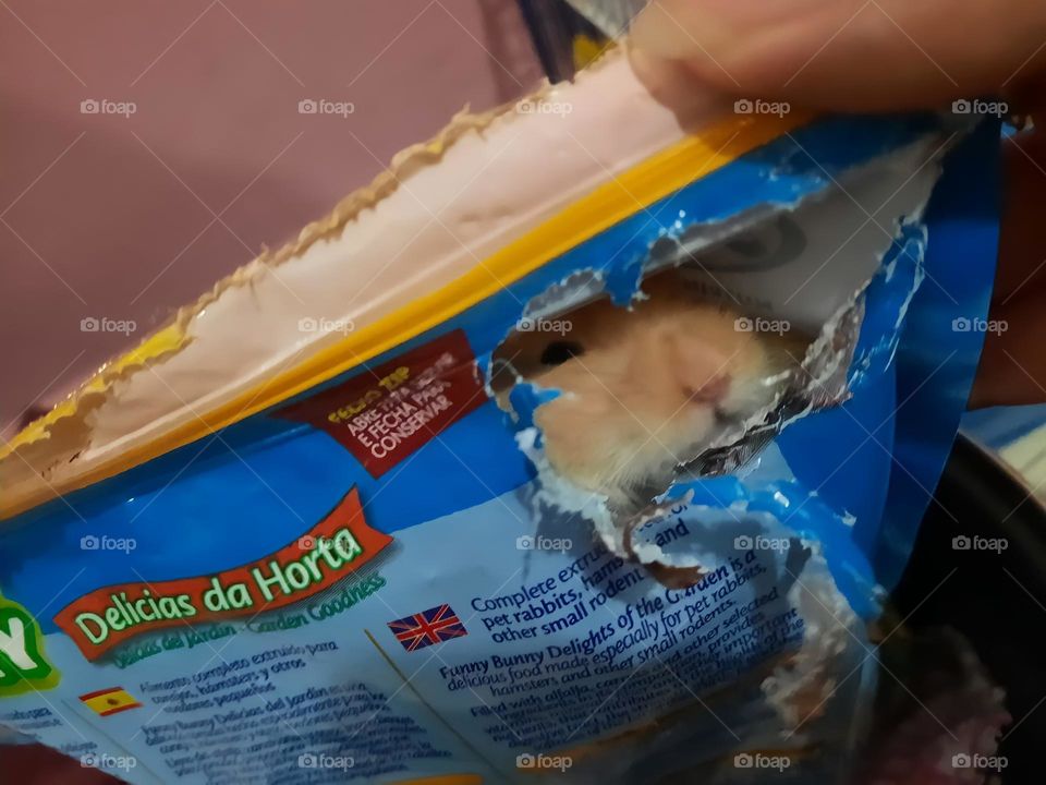 Who make this disaster???