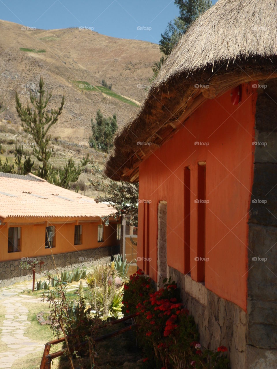 Peruvian orange houses